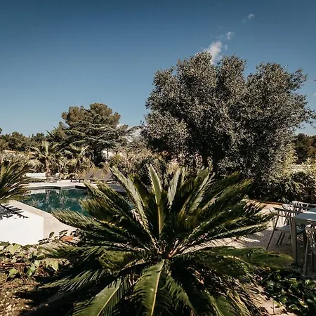 Spacious With Pool Close To The Beaches Villa *
